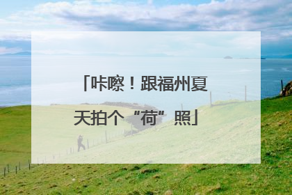 咔嚓！跟福州夏天拍个“荷”照
