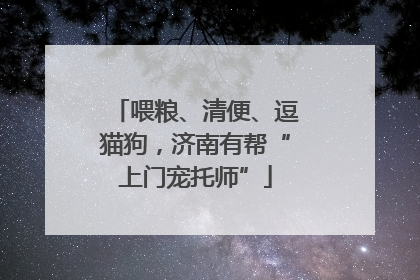 喂粮、清便、逗猫狗，济南有帮“上门宠托师”
