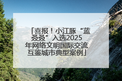 喜报!小江豚“蓝叒叒”入选2025年网络文明国际交流互鉴城市典型案例
