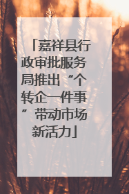 嘉祥县行政审批服务局推出“个转企一件事”带动市场新活力