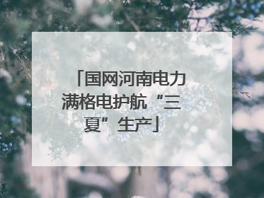 国网河南电力满格电护航“三夏”生产