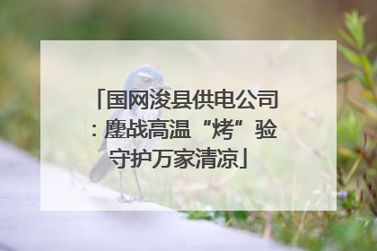 国网浚县供电公司：鏖战高温“烤”验 守护万家清凉