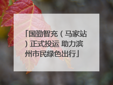 国勤智充（马家站）正式投运 助力滨州市民绿色出行