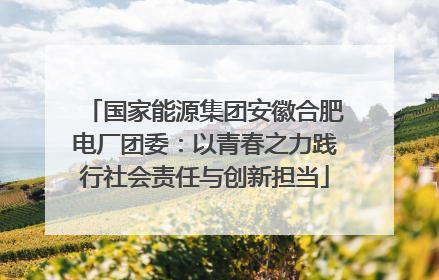 国家能源集团安徽合肥电厂团委：以青春之力践行社会责任与创新担当