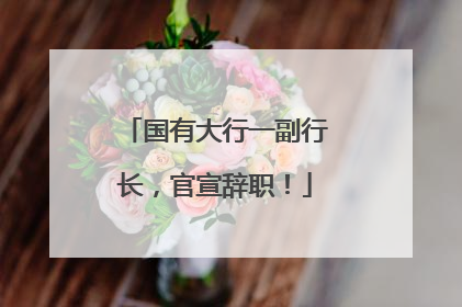 国有大行一副行长，官宣辞职！