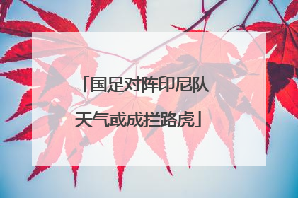 国足对阵印尼队 天气或成拦路虎