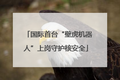 国际首台“壁虎机器人”上岗守护核安全
