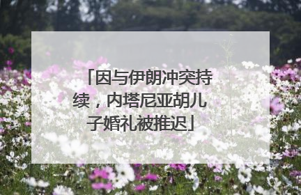 因与伊朗冲突持续，内塔尼亚胡儿子婚礼被推迟