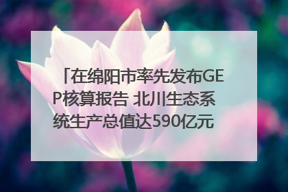 在绵阳市率先发布GEP核算报告 北川生态系统生产总值达590亿元｜新闻发布最前线
