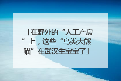 在野外的“人工产房”上，这些“鸟类大熊猫”在武汉生宝宝了