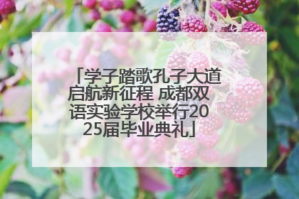 学子踏歌孔子大道启航新征程 成都双语实验学校举行2025届毕业典礼