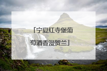 宁夏红寺堡葡萄酒香漫贺兰