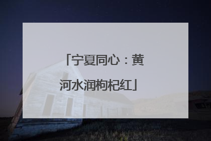 宁夏同心：黄河水润枸杞红