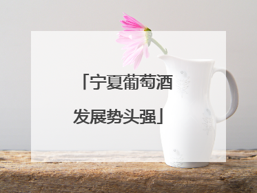 宁夏葡萄酒发展势头强