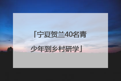 宁夏贺兰40名青少年到乡村研学