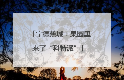 宁德蕉城：果园里来了“科特派”