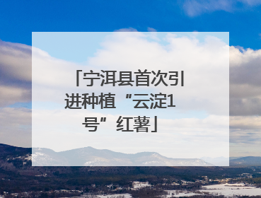 宁洱县首次引进种植“云淀1号”红薯