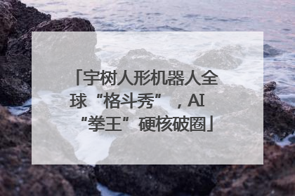 宇树人形机器人全球“格斗秀”，AI“拳王”硬核破圈