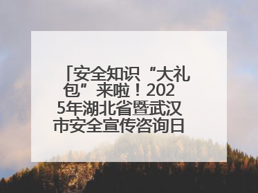 安全知识“大礼包”来啦！2025年湖北省暨武汉市安全宣传咨询日活动在汉举行