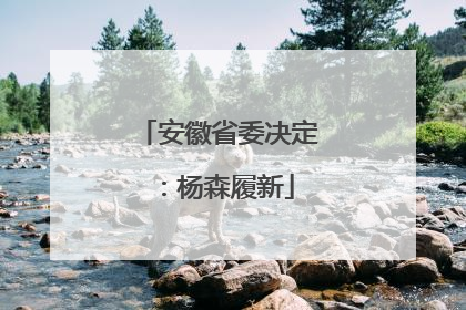 安徽省委决定：杨森履新