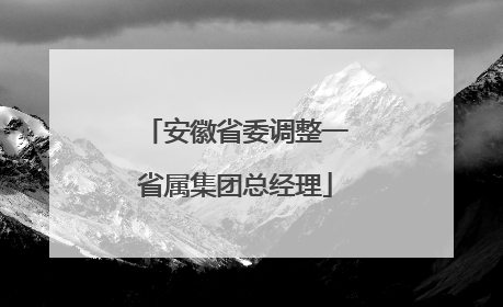 安徽省委调整一省属集团总经理