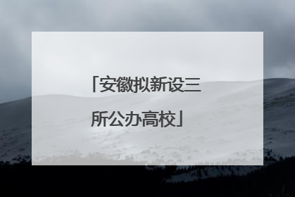 安徽拟新设三所公办高校