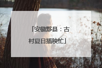安徽黟县：古村夏日插秧忙