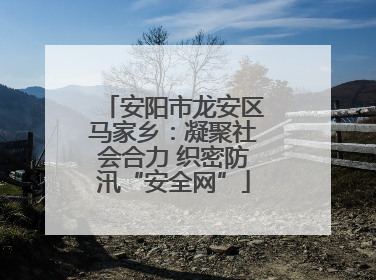 安阳市龙安区马家乡：凝聚社会合力 织密防汛“安全网”