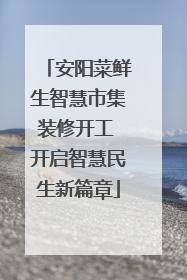 安阳菜鲜生智慧市集装修开工 开启智慧民生新篇章