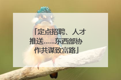 定点招聘、人才推送……东西部协作共谋致富路