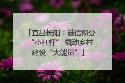 宜昌长阳：诚信积分“小杠杆” 撬动乡村建设“大能量”