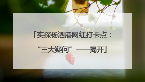 实探杨泗港网红打卡点：“三大疑问”一一揭开