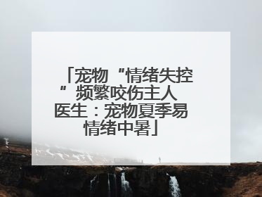宠物“情绪失控”频繁咬伤主人 医生：宠物夏季易情绪中暑
