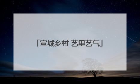 宣城乡村 艺里艺气