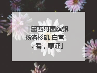 墨西哥国旗飘扬洛杉矶 白宫：看，罪证