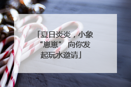 夏日炎炎，小象“崽崽” 向你发起玩水邀请