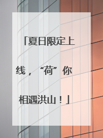 夏日限定上线，“荷”你相遇洪山！