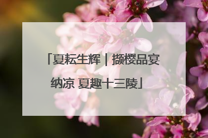 夏耘生辉｜撷樱品宴纳凉 夏趣十三陵