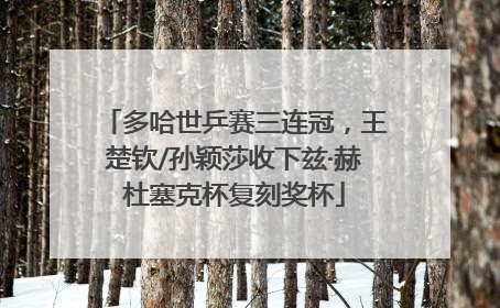 多哈世乒赛三连冠，王楚钦/孙颖莎收下兹·赫杜塞克杯复刻奖杯