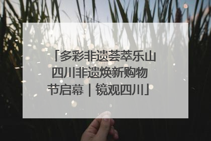 多彩非遗荟萃乐山 四川非遗焕新购物节启幕｜镜观四川