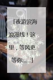 夜游滨海浪漫线！这里，等风更等你……