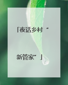 夜话乡村“新管家”