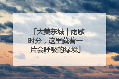 大美东城｜雨歇时分，这里藏着一片会呼吸的绿境