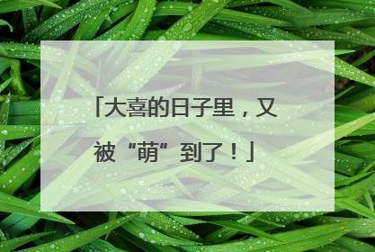大喜的日子里，又被“萌”到了！