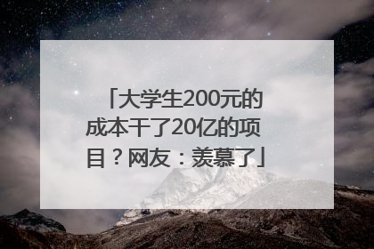 大学生200元的成本干了20亿的项目？网友：羡慕了