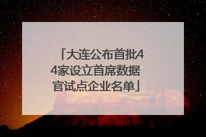 大连公布首批44家设立首席数据官试点企业名单
