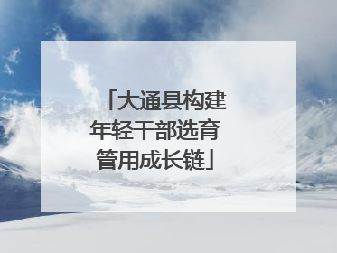 大通县构建年轻干部选育管用成长链