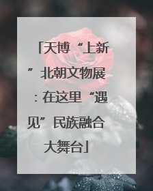 天博“上新”北朝文物展：在这里“遇见”民族融合大舞台