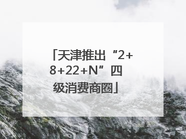 天津推出“2+8+22+N”四级消费商圈