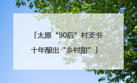 太原“90后”村支书十年酿出“乡村甜”